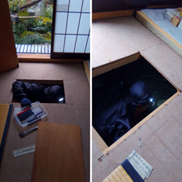 床下調査の様子